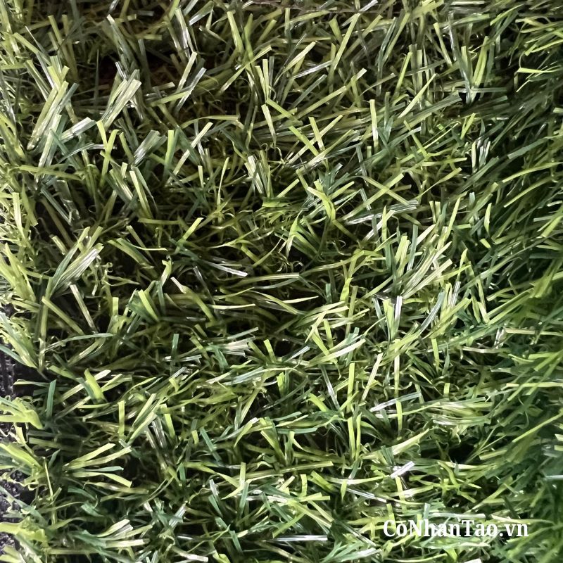 Ứng dụng đa dạng của cỏ nhân tạo HNC 10 trong đời sống
