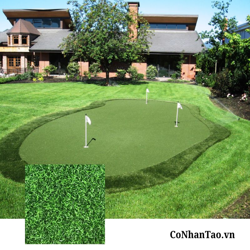 Cỏ nhân tạo sân Golf V3