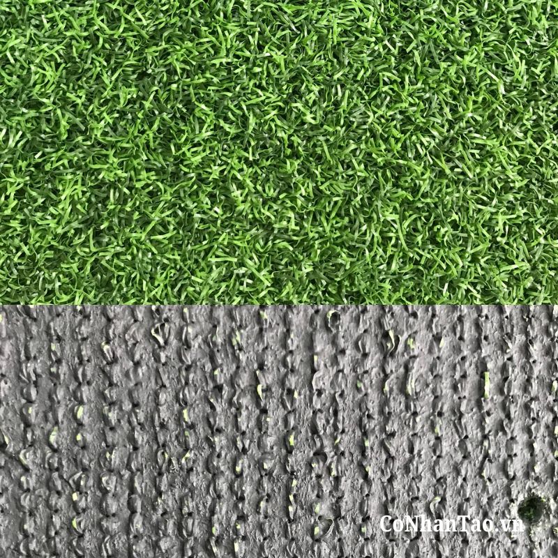 Xem-kha-nang-dan-hoi-thuc-te-cua-co Xem khả năng đàn hồi thực tế của cỏ