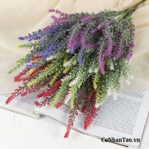 Các màu sắc hoa oải hương