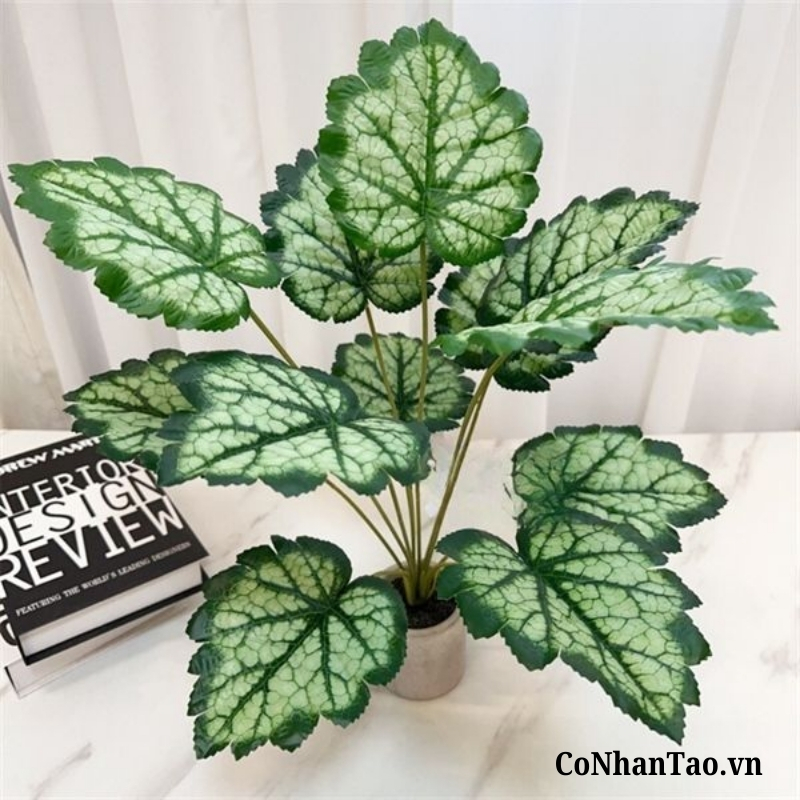 Cây Giả Cây Chuông San Hô 12 Lá 52 Cm