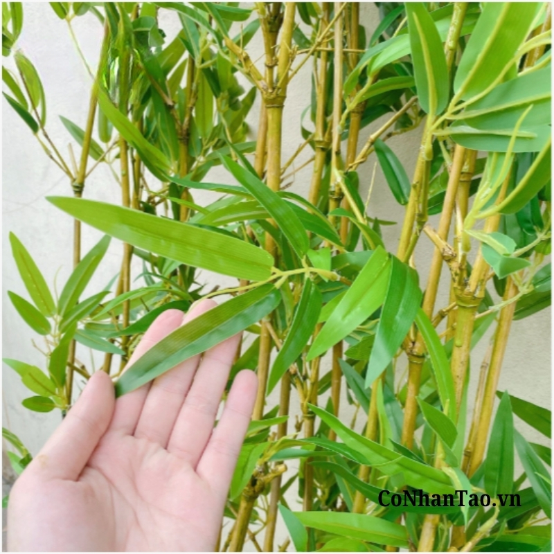 Cây Trúc Quân Tử Giả Cao Cấp Trang Trí -Thân Vàng