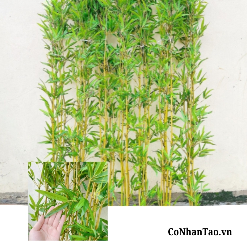 Cây Trúc Quân Tử Giả Cao Cấp Trang Trí -Thân Vàng