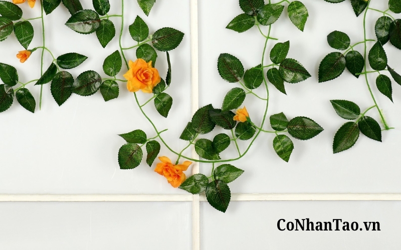 Hoa giả treo tường, dây leo