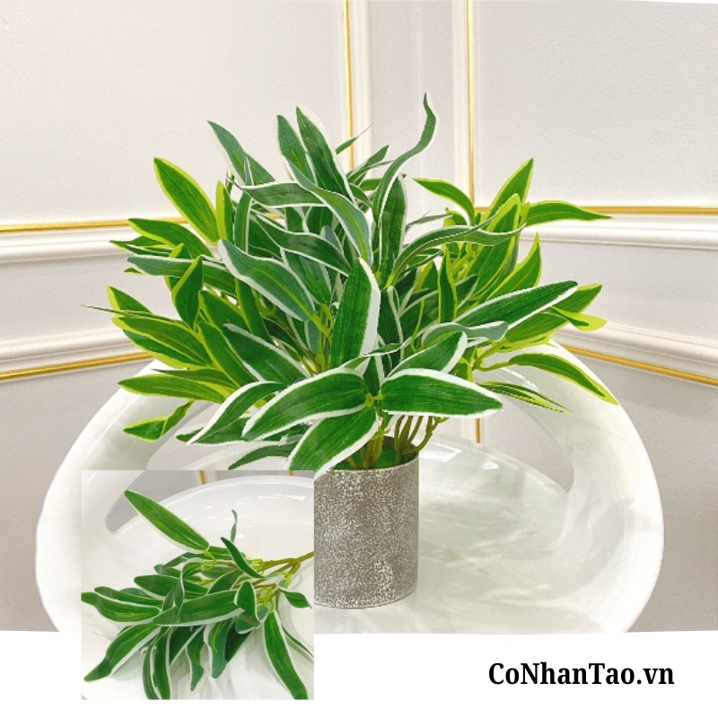 Cỏ Lan Chi Cây Giả - Cỏ Lan Chi