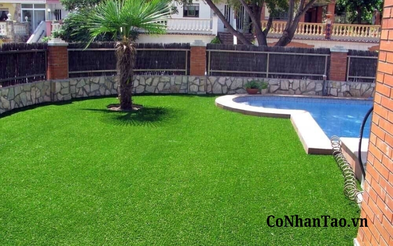 Cỏ nhân tạo 01