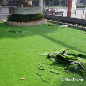 Mẹo bảo trì để thảm cỏ luôn bền đẹp như mới