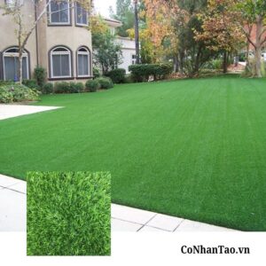 Tại sao Cỏ nhân tạo Sân vườn HNC 25 lại được ưa chuộng