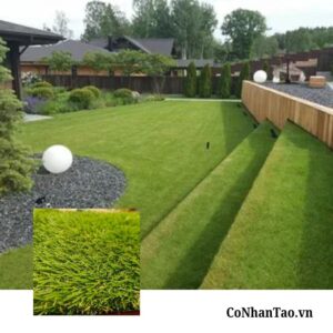 Thông số kỹ thuật chi tiết của Cỏ nhân tạo HNC 30