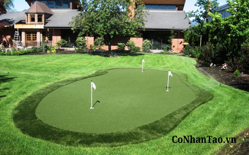 Cỏ nhân tạo thể thao sân golf
