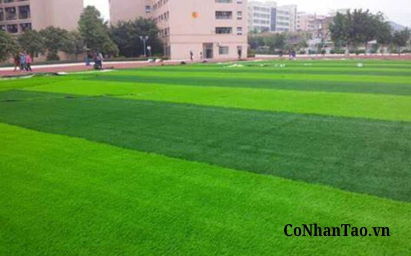 Cỏ nhân tạo thể thao