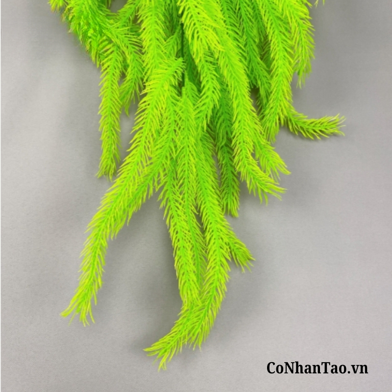 Dây Leo Giả - Chùm Dây Rong Đuôi Chồn Cỡ Lớn 90 Cm 04 Dây Leo Giả - Chùm Dây Rong Đuôi Chồn Cỡ Lớn 90 Cm