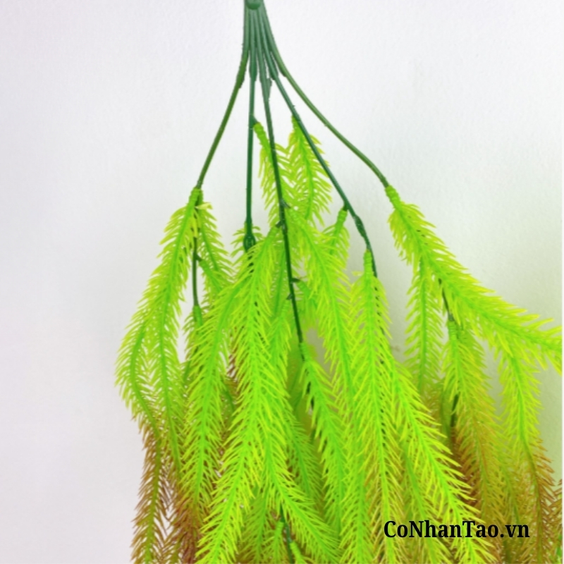 Dây Leo Giả - Chùm Dây Rong Đuôi Chồn Cỡ Lớn 90 Cm 06 Dây Leo Giả - Chùm Dây Rong Đuôi Chồn Cỡ Lớn 90 Cm