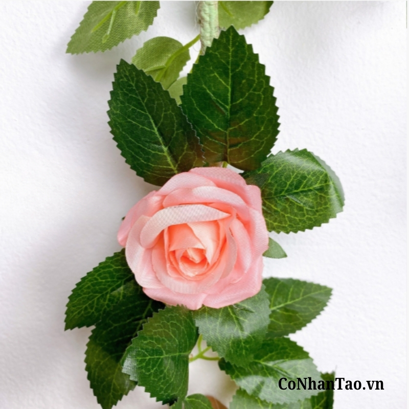 Dây Leo Giả Trang Trí - Dây Hồng Leo Cao Cấp 170 CM