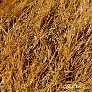 Hình ảnh cận chất cỏ rơm nhân tạo mái lợp
