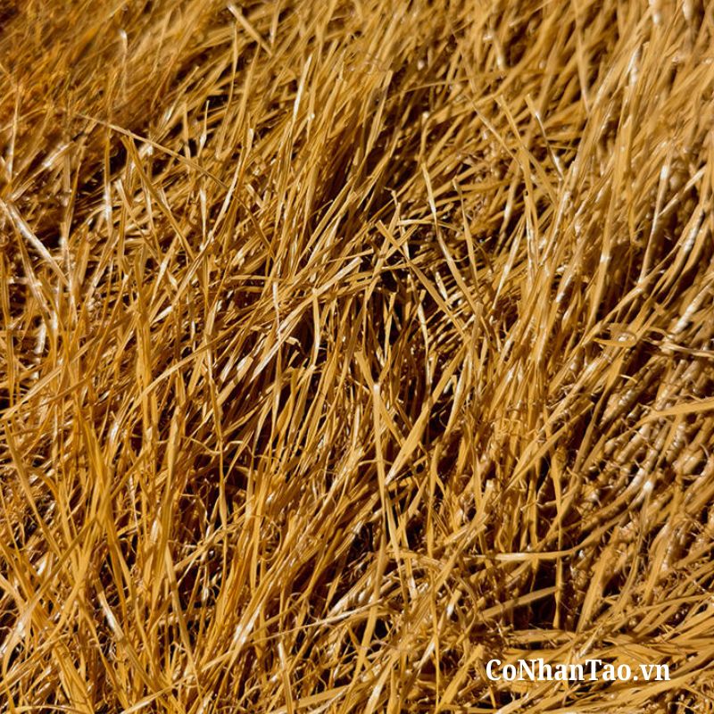 Hình ảnh cận chất cỏ rơm nhân tạo mái lợp