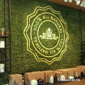 Hình ảnh thực tế thảm rêu nhân tạo Hanoi Carpet