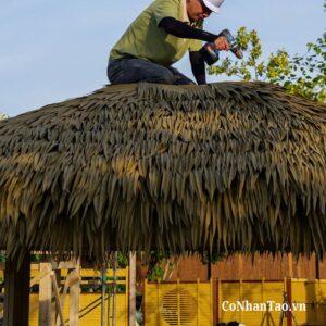 Mái che quán café & nhà hàng