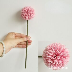 Mô phỏng bồ công anh tự nhiên