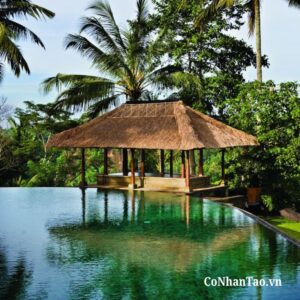 Resort, homestay & khu nghỉ dưỡng