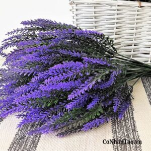 Thiết kế chân thật, tái hiện vẻ đẹp của hoa oải hương