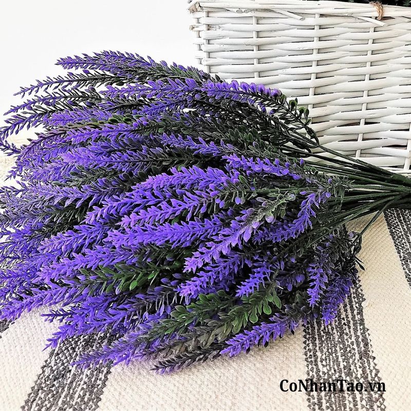 Thiết kế chân thật, tái hiện vẻ đẹp của hoa oải hương