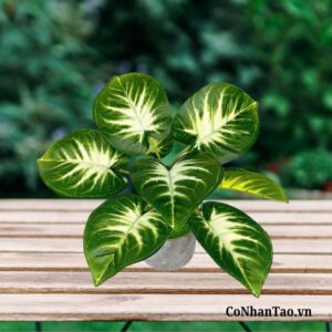 Ứng dụng của cây giả Ngân Hậu trong trang trí nội thất