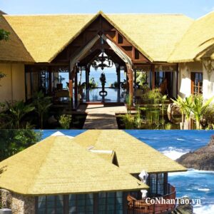 Ứng dụng phổ biến của PKTC-reed