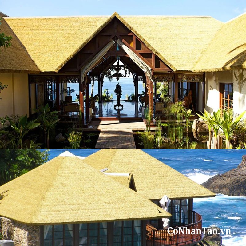 Ứng dụng phổ biến của PKTC-reed