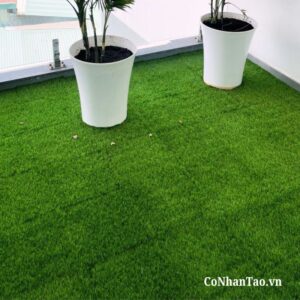 Ưu điểm nổi bật của cỏ vỉ lót sàn