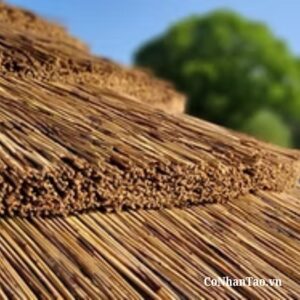 Vì sao mái lá nhân tạo PKTC-reed là lựa chọn sáng suốt