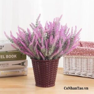 Ý nghĩa của hoa oải hương