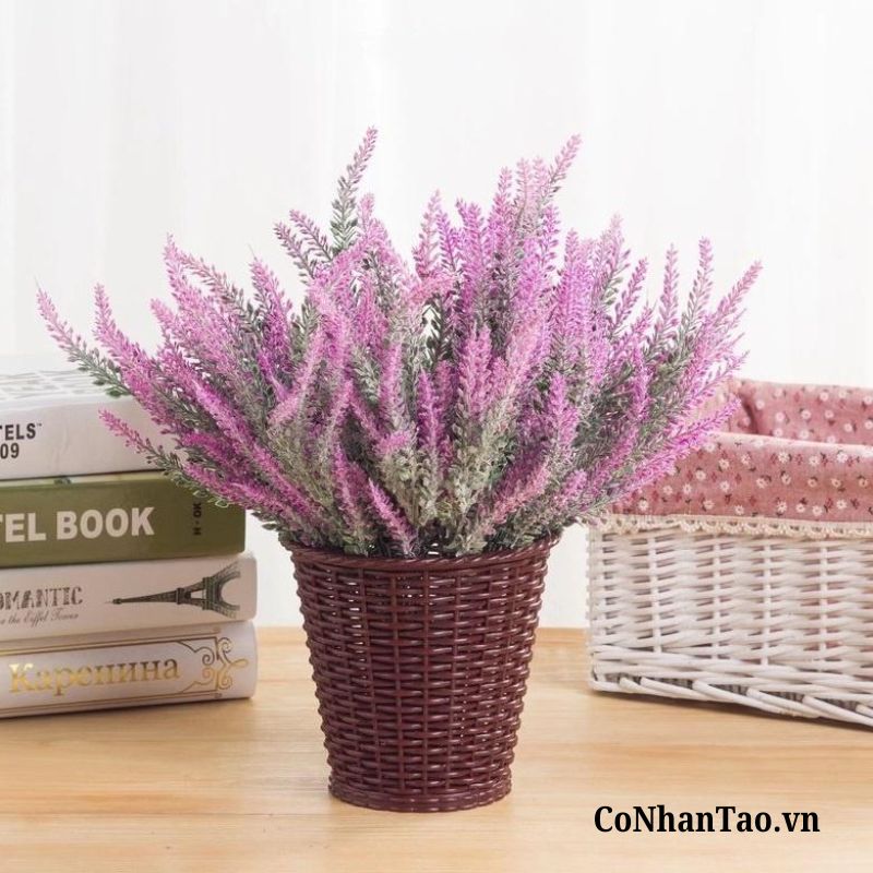 Ý nghĩa của hoa oải hương