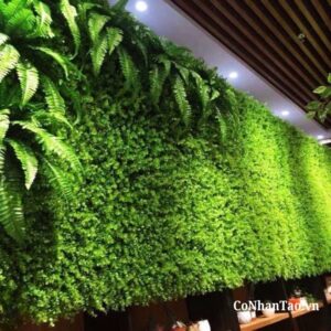 Ứng dụng đột phá của cỏ dương xỉ trang trí