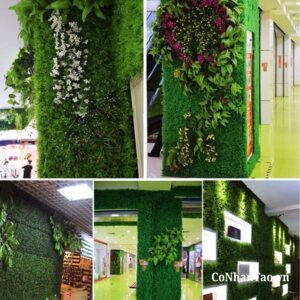 Tại sao cỏ dương xỉ lại được ưa chuộng trong trang trí nội thất?