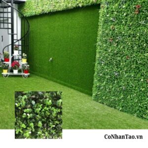 Cỏ mắt trâu là gì? Đặc điểm nhận diện nổi bật