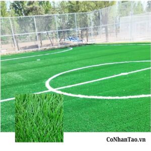 Cỏ nhân tạo sân bóng HNC 12D1308