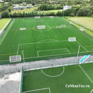 So sánh hiệu quả đầu tư HNC 15S1312 với các dòng cỏ khác