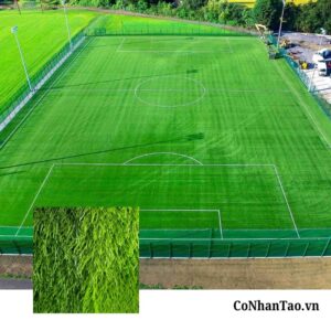 Tổng quan về dòng cỏ nhân tạo HNC 15S1312