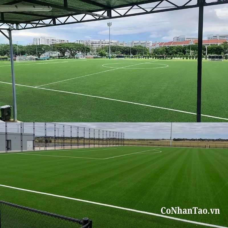 Vì sao HNC 15S1312 là "ông vua" trong phân khúc sân bóng?