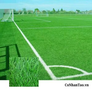 Cỏ nhân tạo sân bóng HNC 16S1608