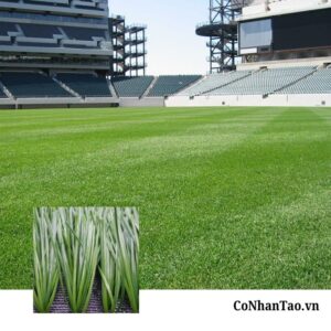 Cỏ nhân tạo sân bóng HNC 280FF