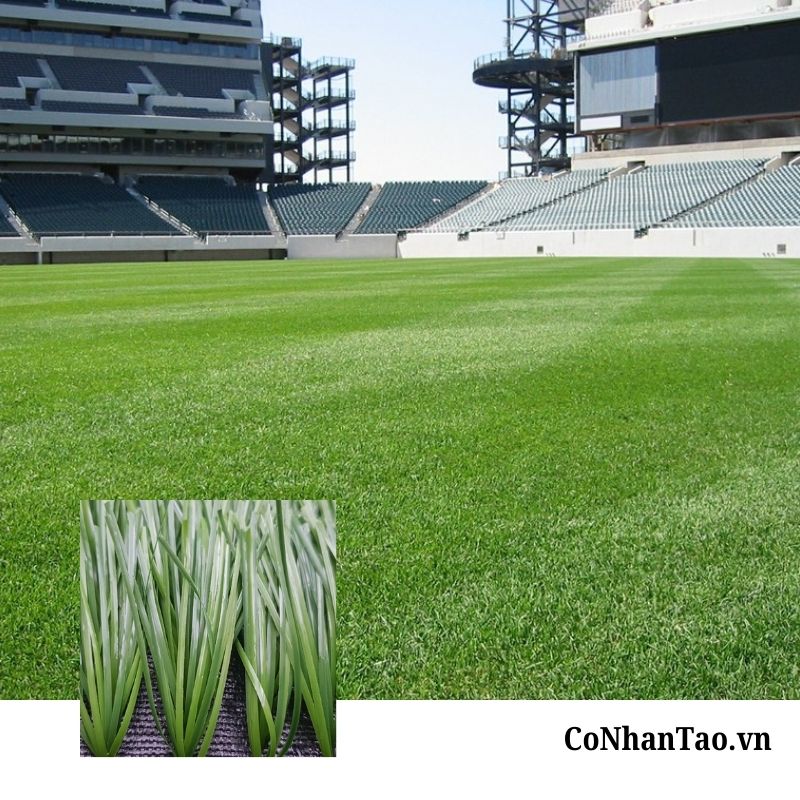 Cỏ nhân tạo sân bóng HNC 280FF