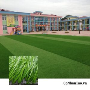 Tổng quan về dòng cỏ HNC 300FF – Tiêu chuẩn FiFa