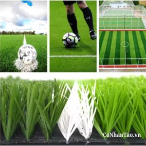 So sánh HNC 30D với các loại cỏ phổ thông