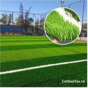 So sánh HNC 350FF với các dòng cỏ thông thường trên thị trường