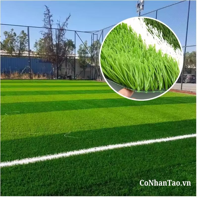 So sánh HNC 350FF với các dòng cỏ thông thường trên thị trường