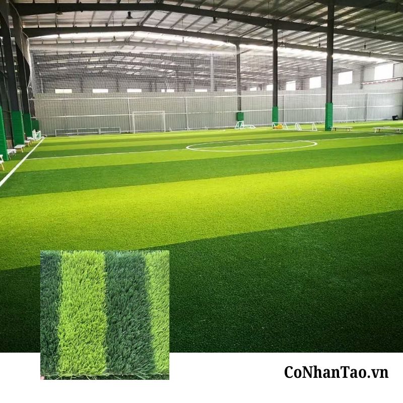 Cỏ nhân tạo sân bóng HNC 350FF