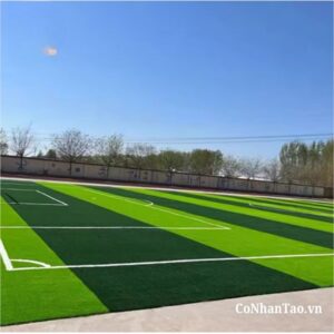 Cỏ nhân tạo – Đơn vị uy tín hàng đầu trong lĩnh vực sân bóng