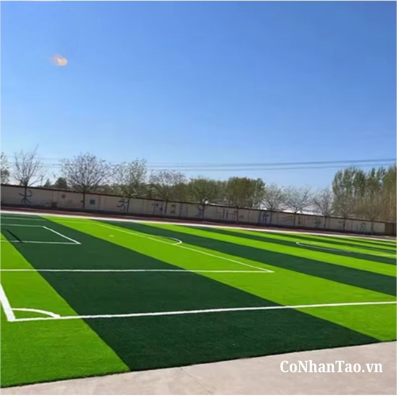 Cỏ nhân tạo – Đơn vị uy tín hàng đầu trong lĩnh vực sân bóng